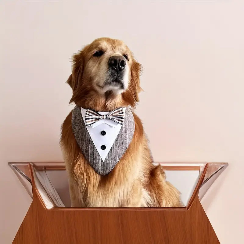 Gray Tuxedo Bandana