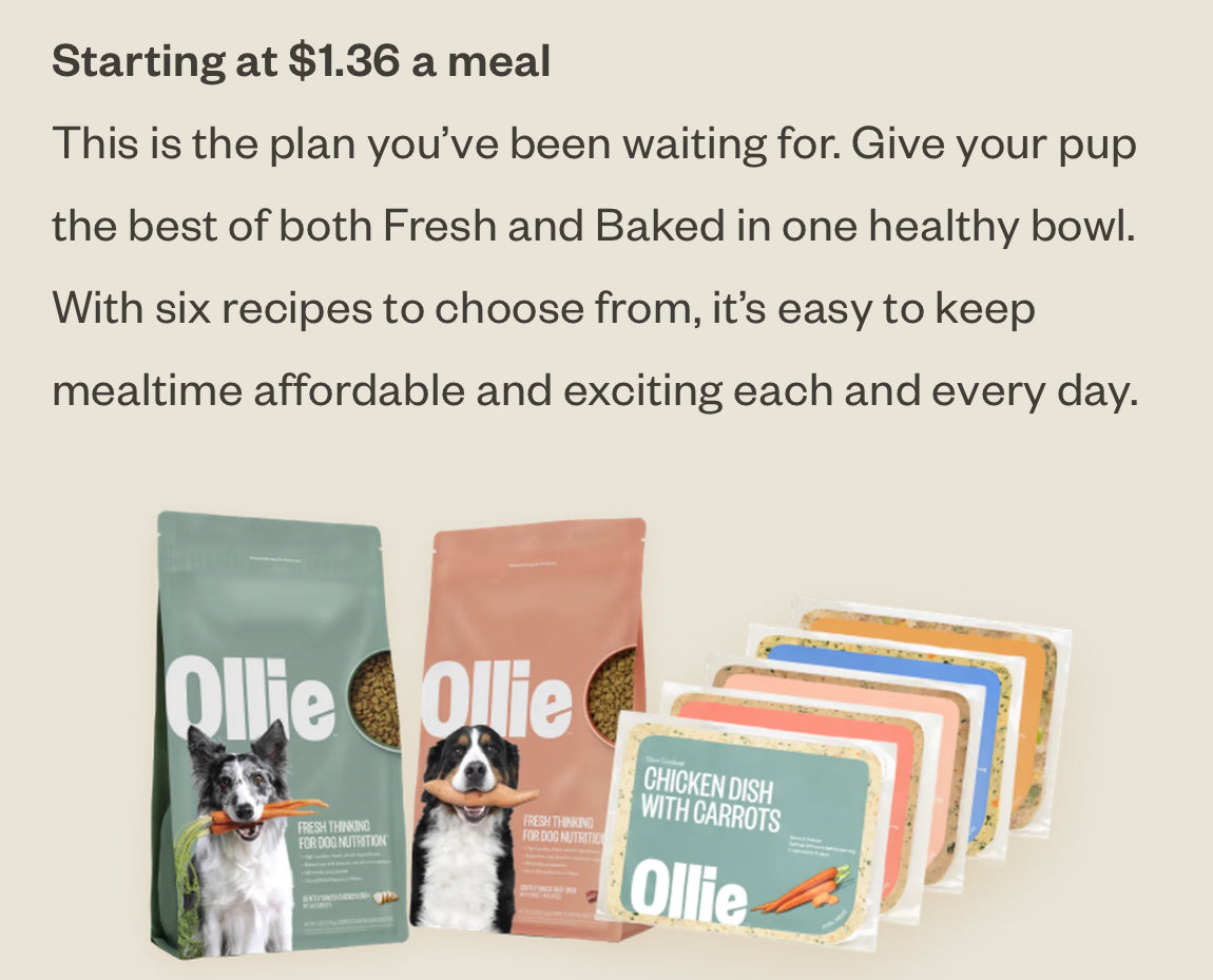 Ollie Partner for a Cause - DISCOUNT LINK ONLY