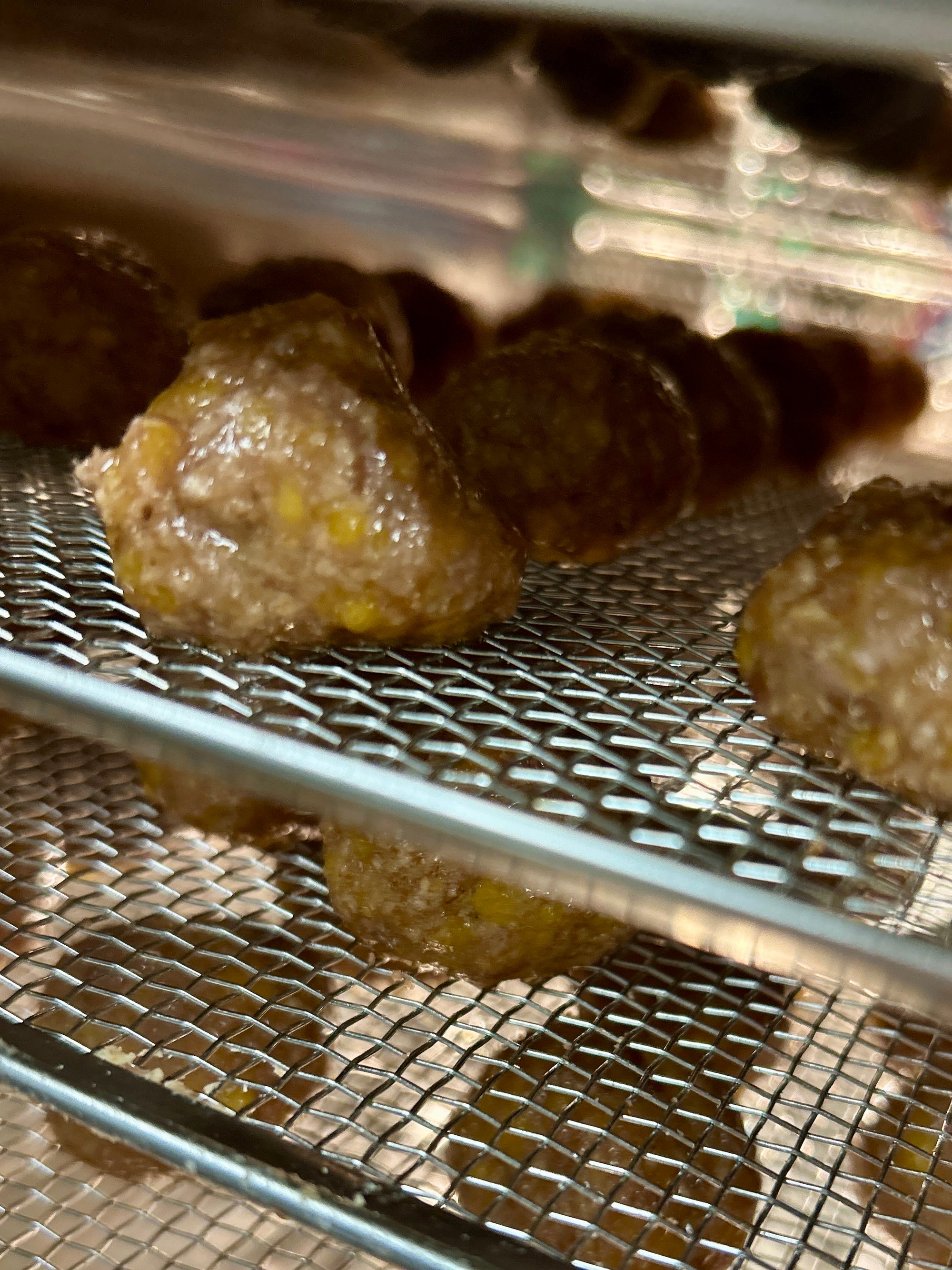 You smell like Beef & Cheese Treats!