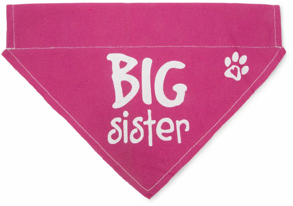 Big Sister Canvas Slip on Pet Bandana