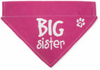 Big Sister Canvas Slip on Pet Bandana