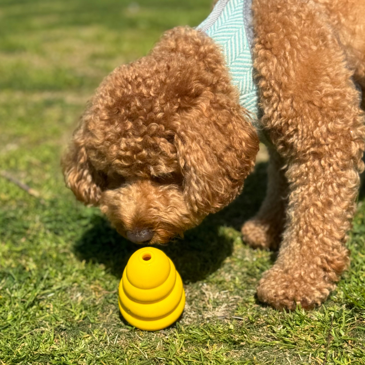 Chewer Bell Treat Dispensing Chew Toy