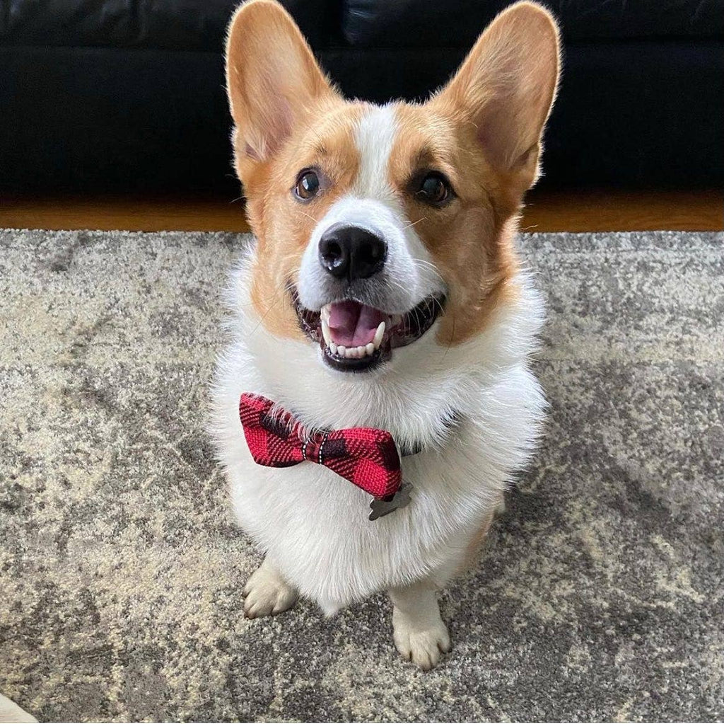 Checkered Plaid Bow Ties