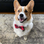 Checkered Plaid Bow Ties