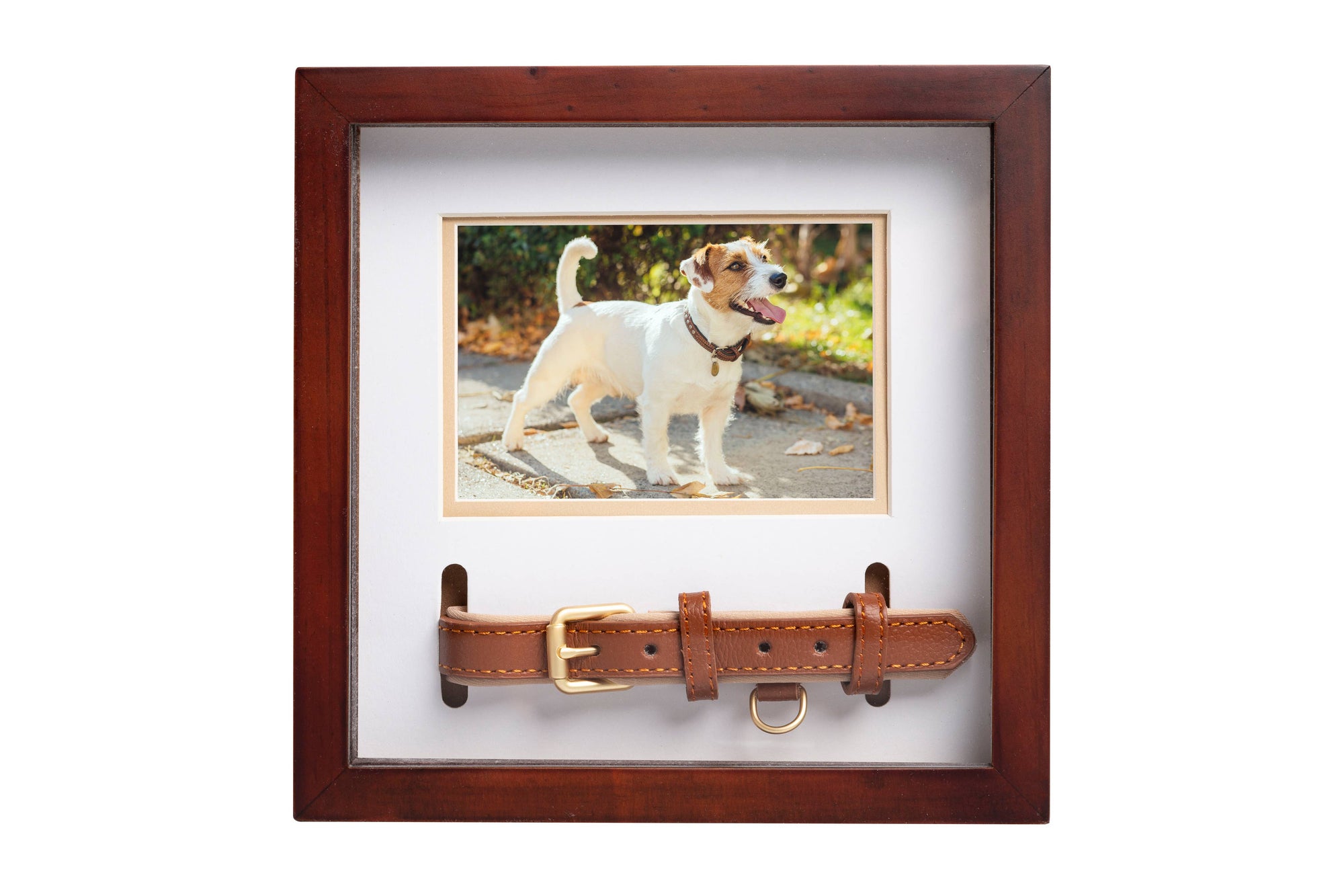 Pet Collar and Photo Frame (Espresso)