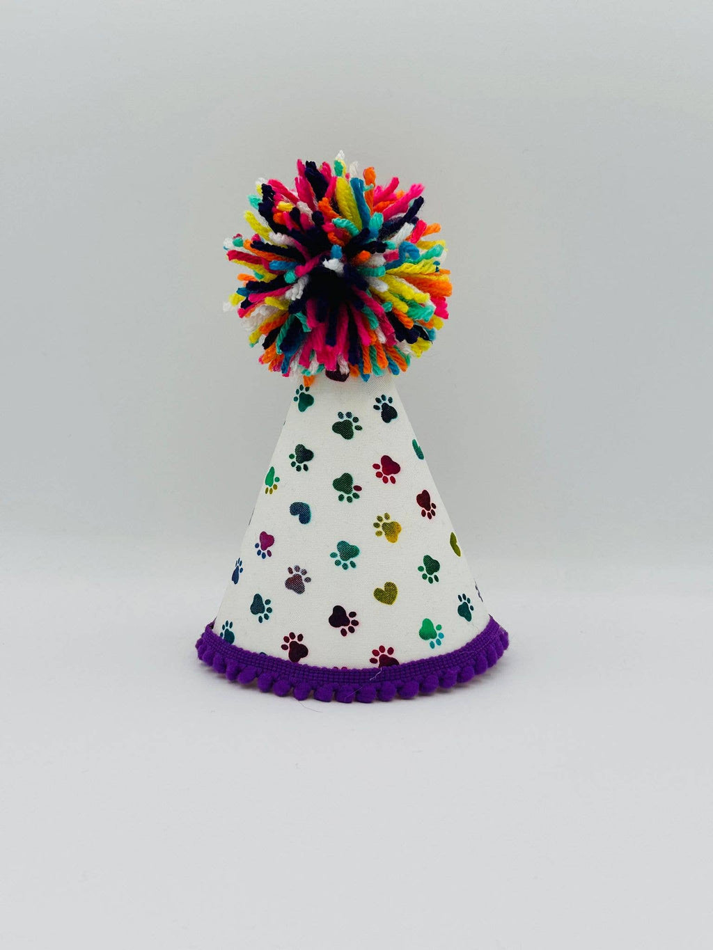 Rainbow Paws Party Hat