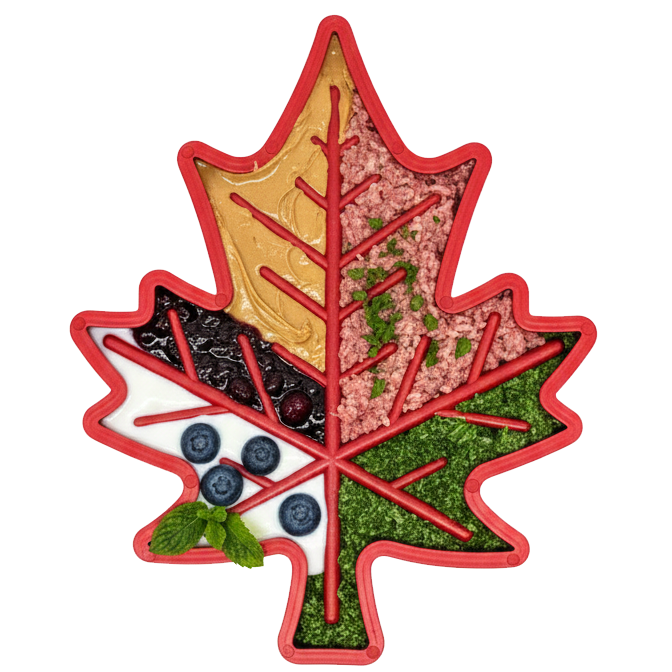 Maple Leaf Nylon Dog Chew Toy