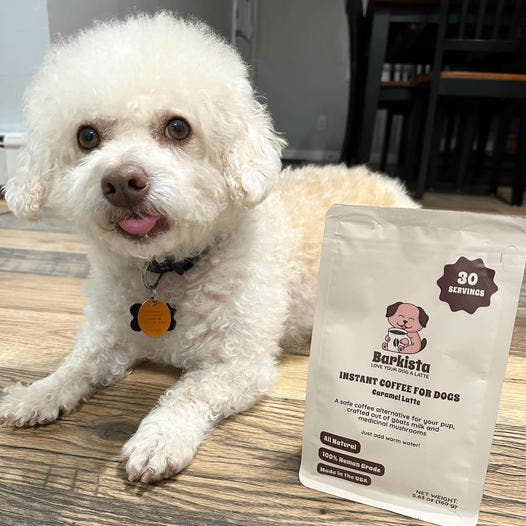 Caramel Latte for Dogs ☕🐾