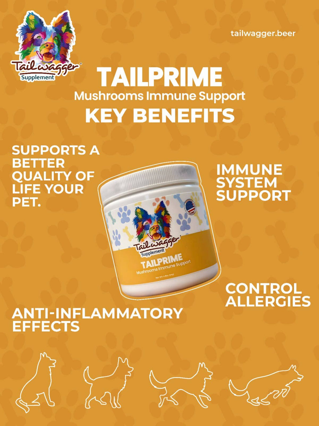 Mushrooms Immune Support