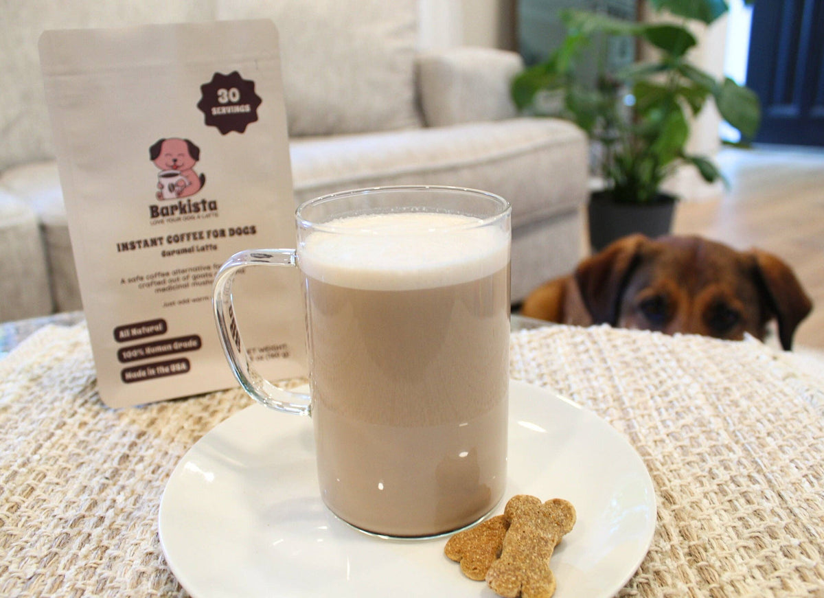 Caramel Latte for Dogs ☕🐾