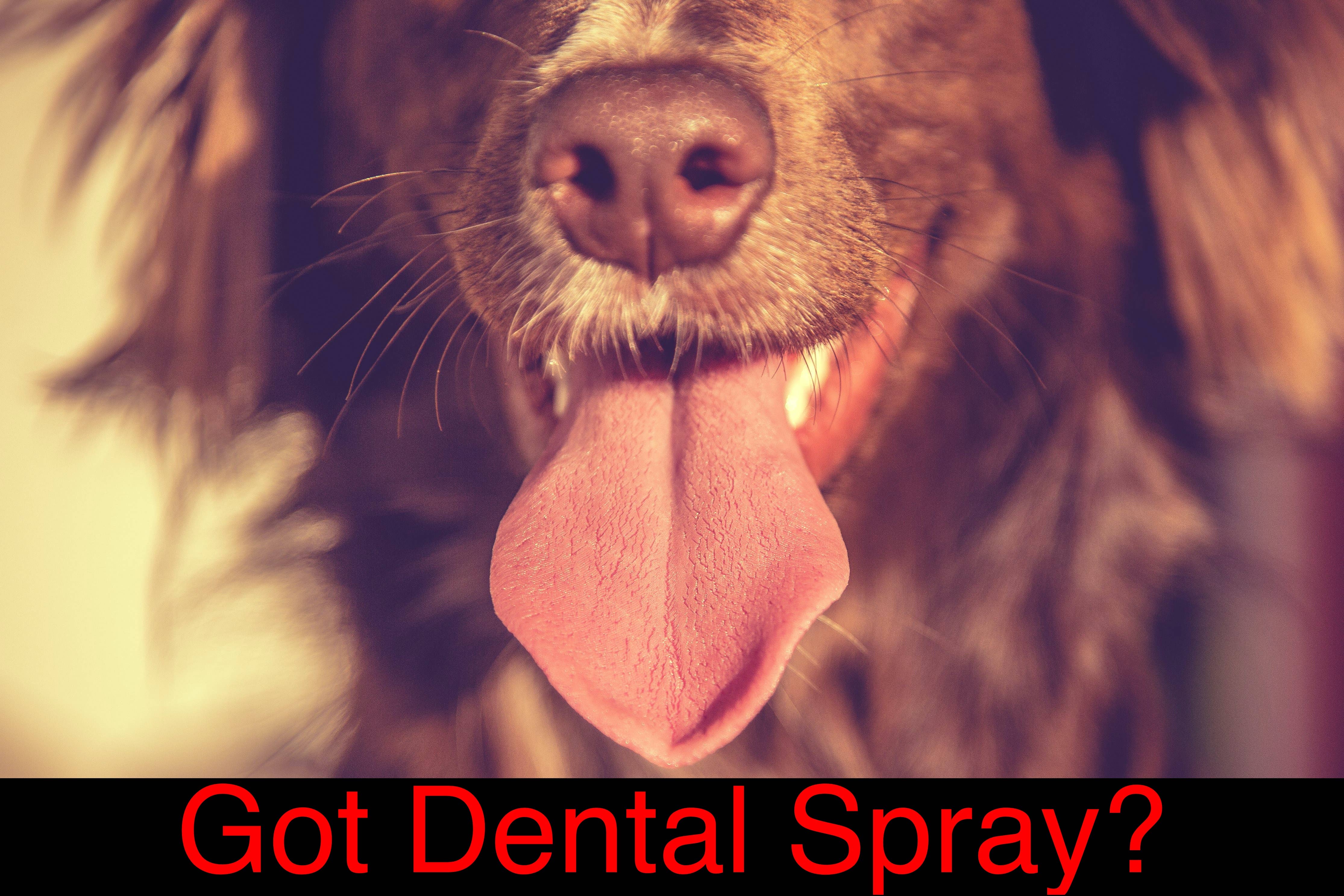 Doggy Dental Spray