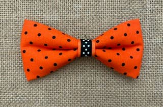 Halloween Pet Bow Tie