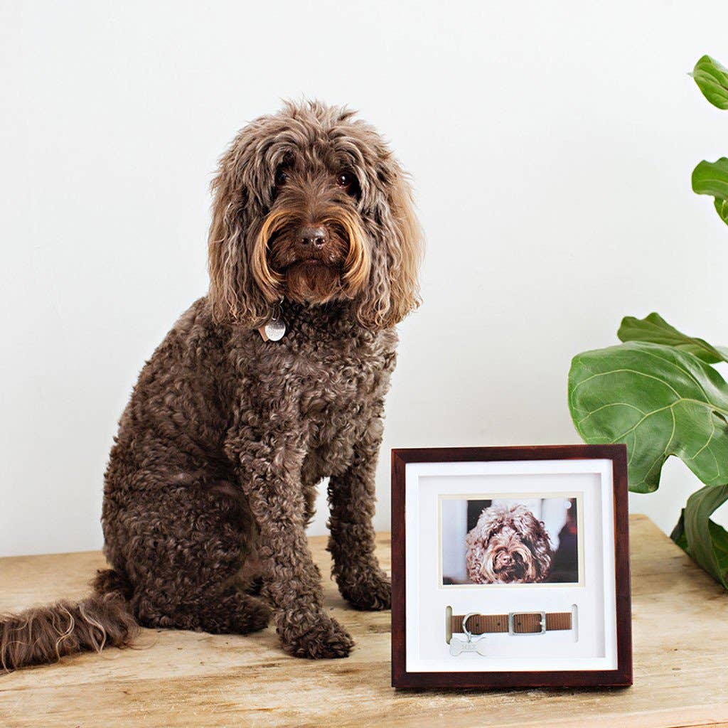 Pet Collar and Photo Frame (Espresso)