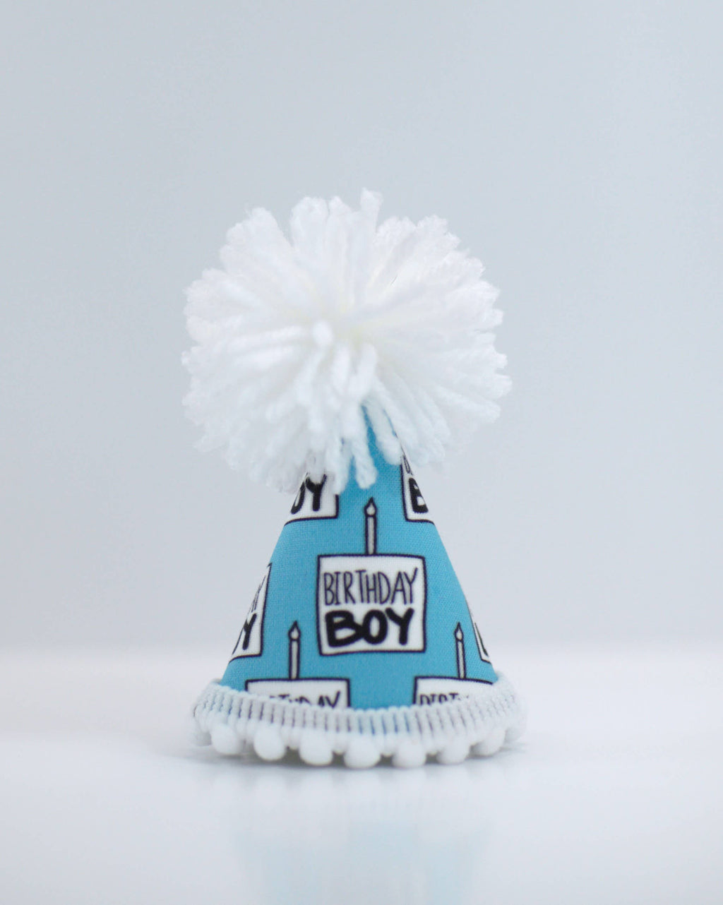 Birthday Boy Party Hat