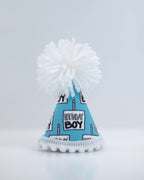 Birthday Boy Party Hat