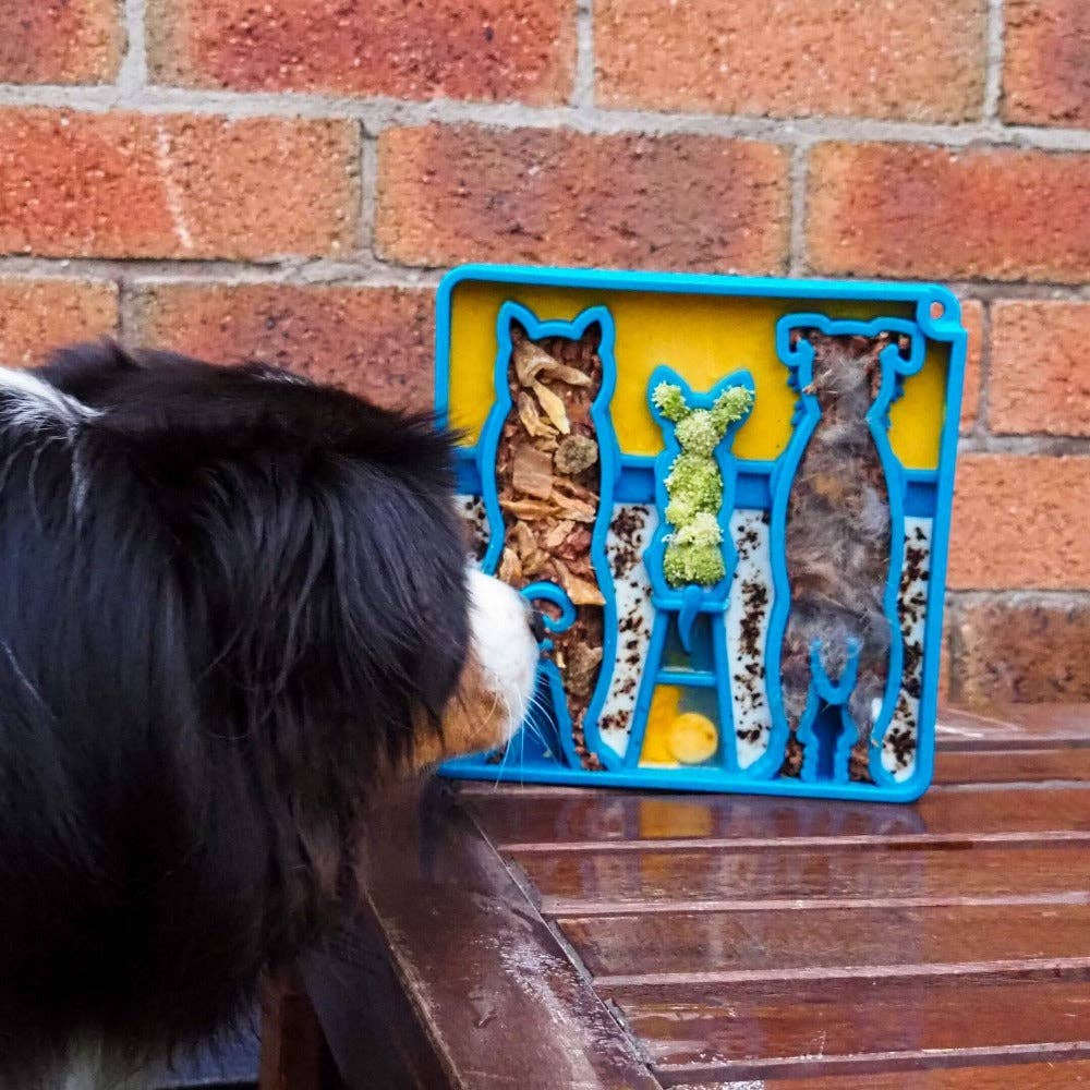 Waiting Dogs eTray - Shallow Slow Feeder Bowl