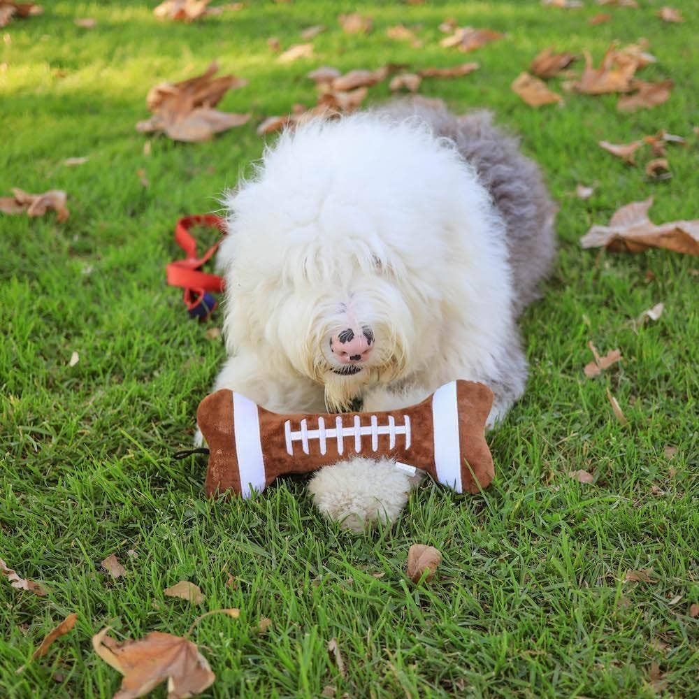 Plush Football Bone For Dogs