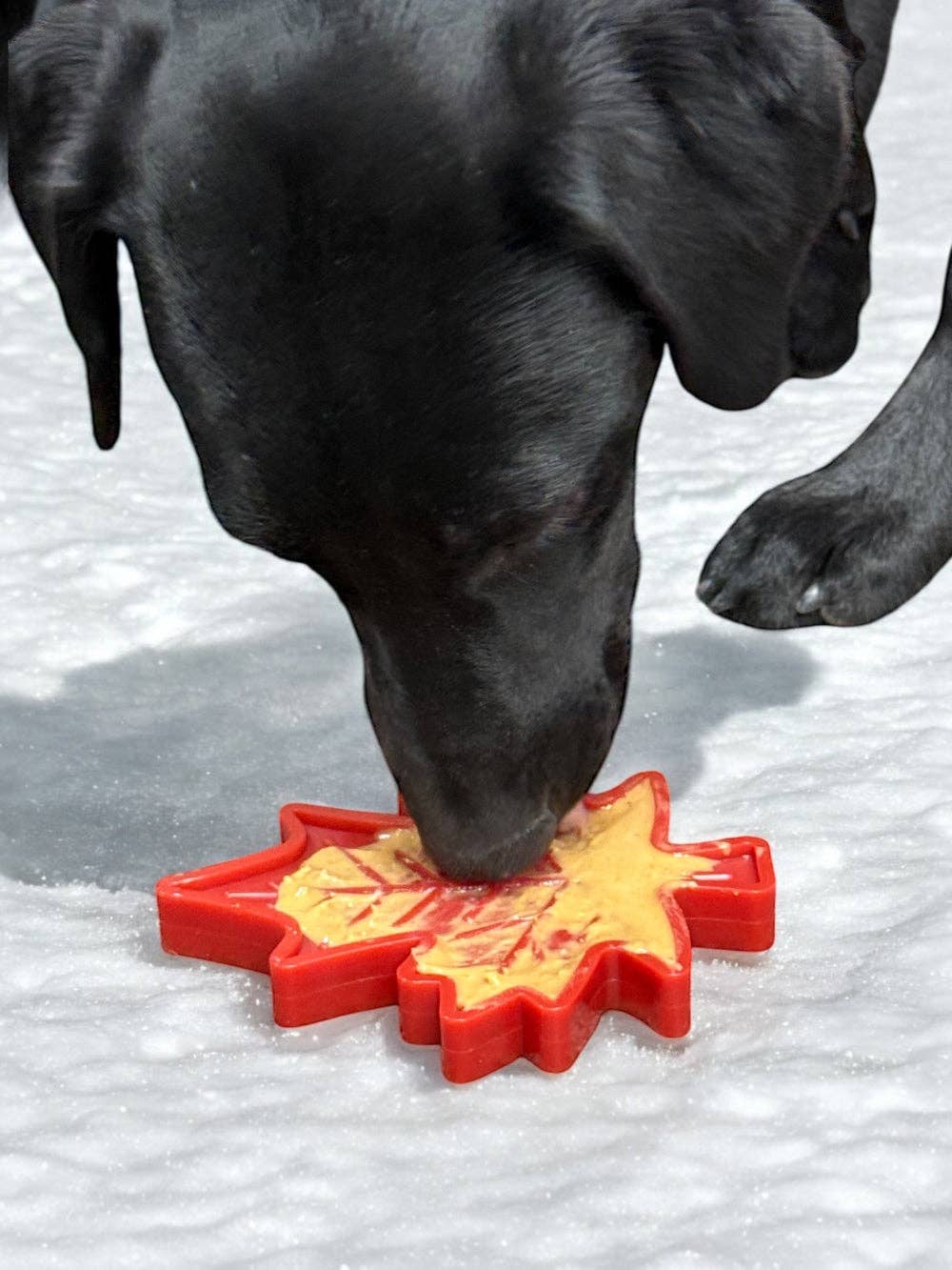 Maple Leaf Nylon Dog Chew Toy