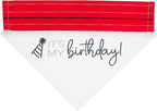 It's My Birthday Canvas Slip on Pet Bandana