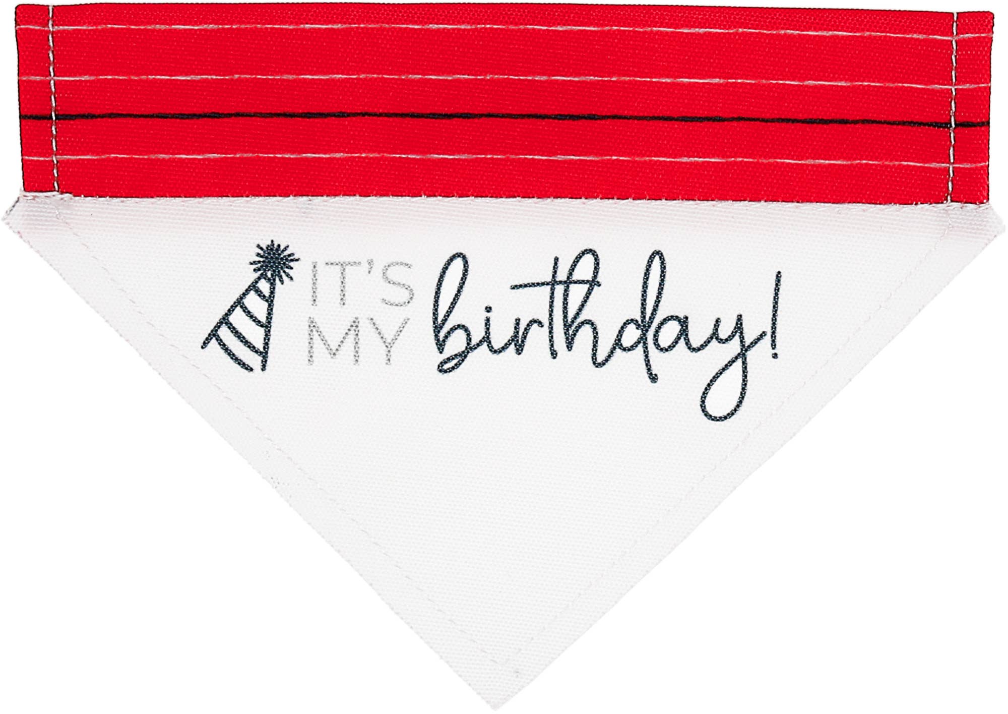 It's My Birthday Canvas Slip on Pet Bandana