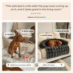 Luxurious Cozy Sofa Bed
