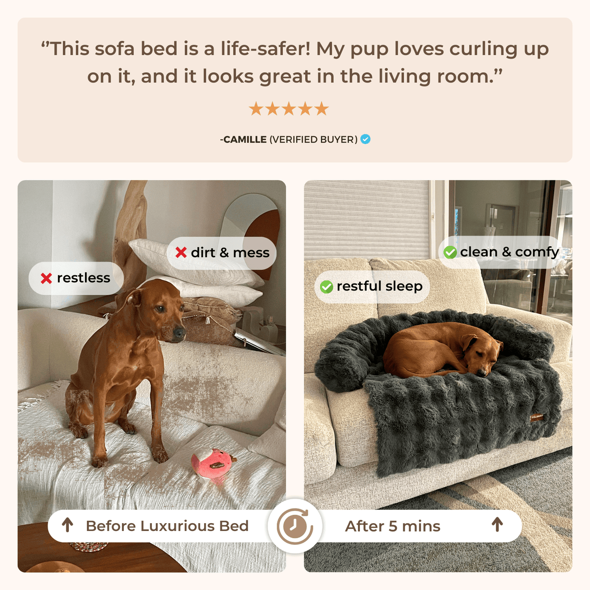 Luxurious Cozy Sofa Bed