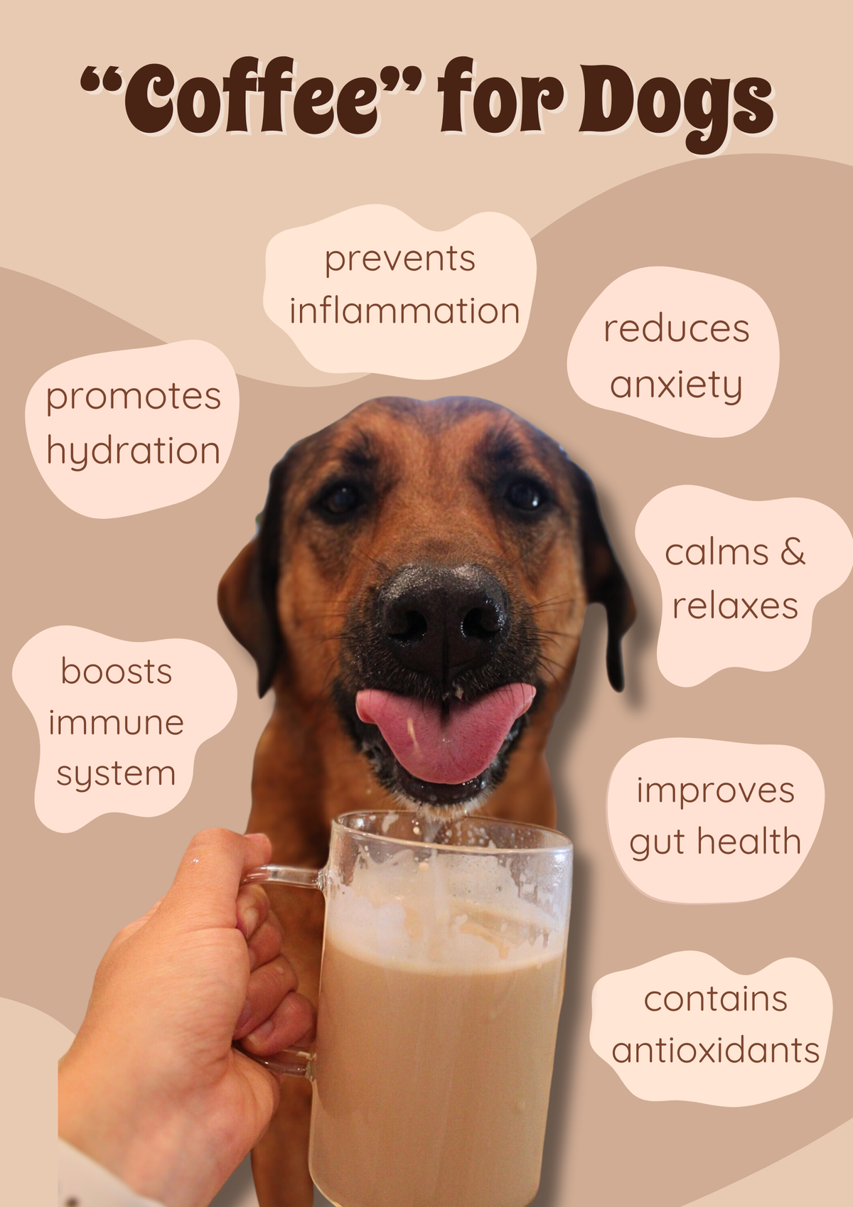 Caramel Latte K-9 Cups