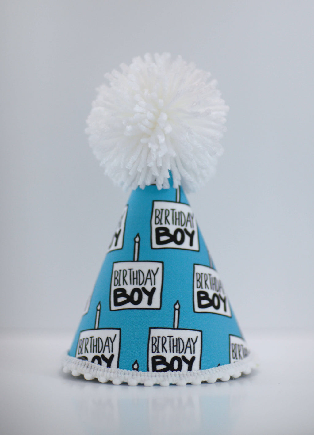 Birthday Boy Party Hat
