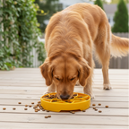 Sunflower Softie eTray Slow Feeder Dog Bowl