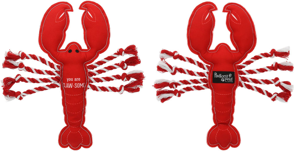 Claw-some Dog Toy with Rope