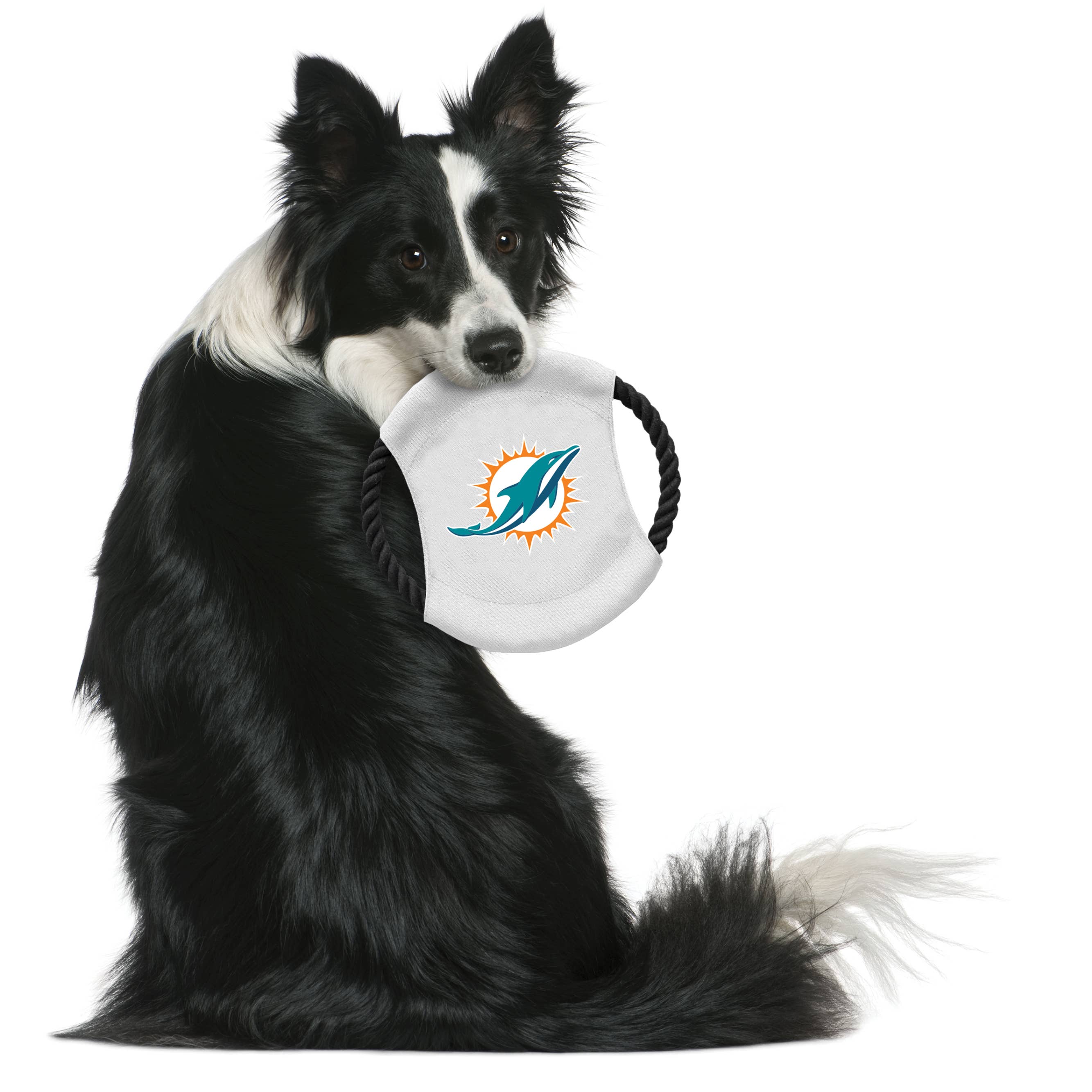 NFL Miami Dolphins Team Flying Disc Pet Toy