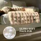 Luxurious Cozy Sofa Bed