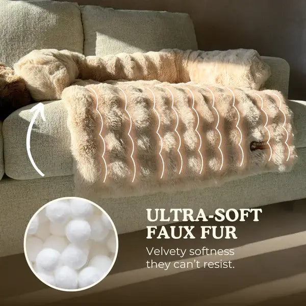 Luxurious Cozy Sofa Bed