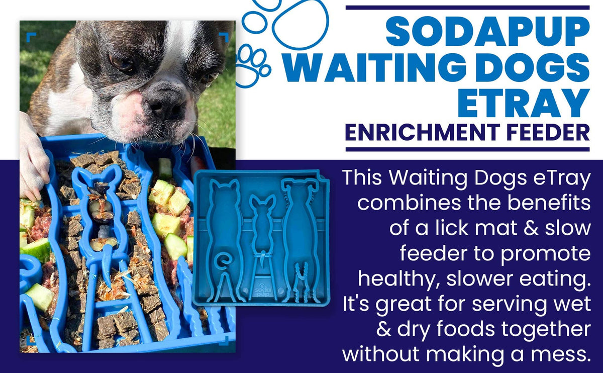Waiting Dogs eTray - Shallow Slow Feeder Bowl