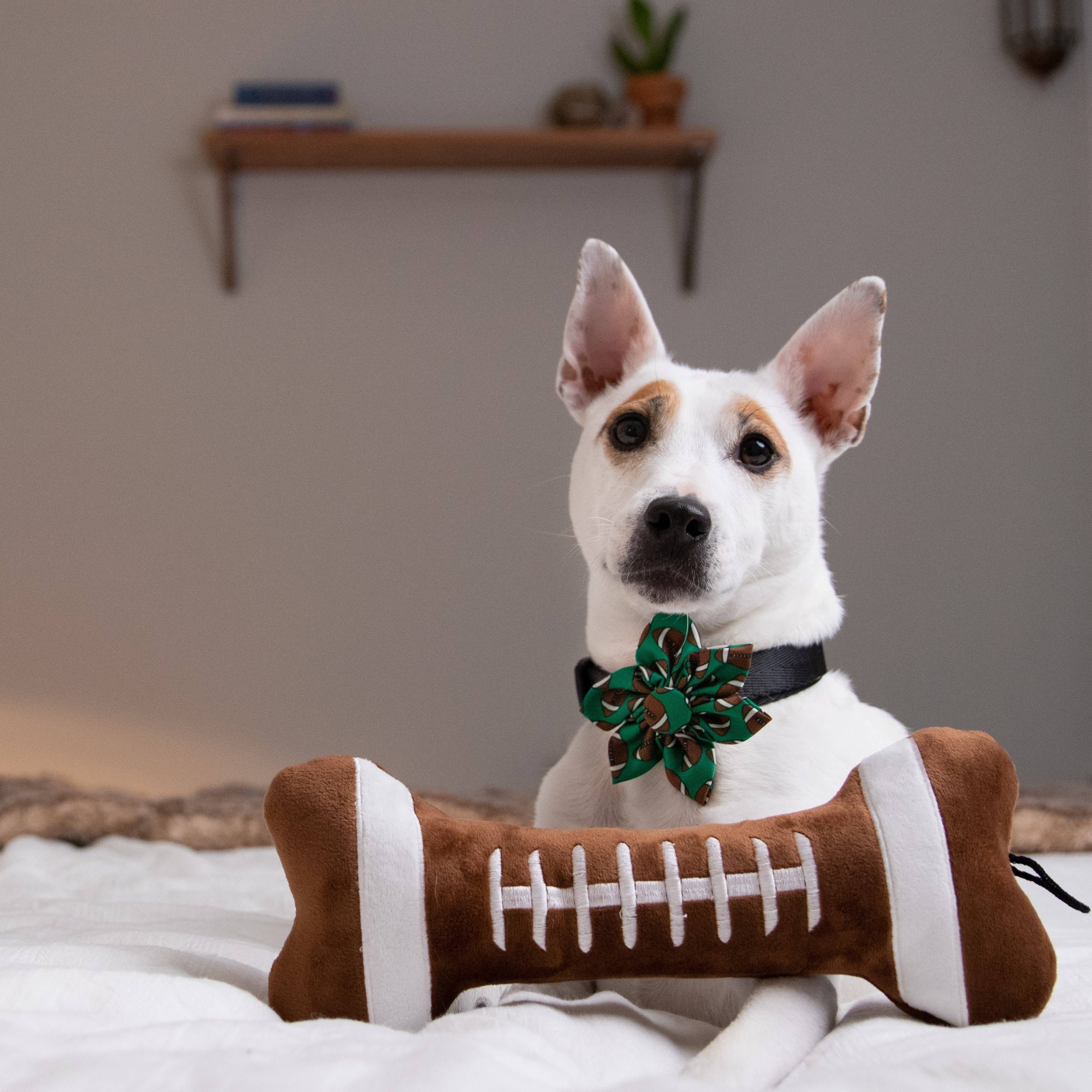 Plush Football Bone For Dogs