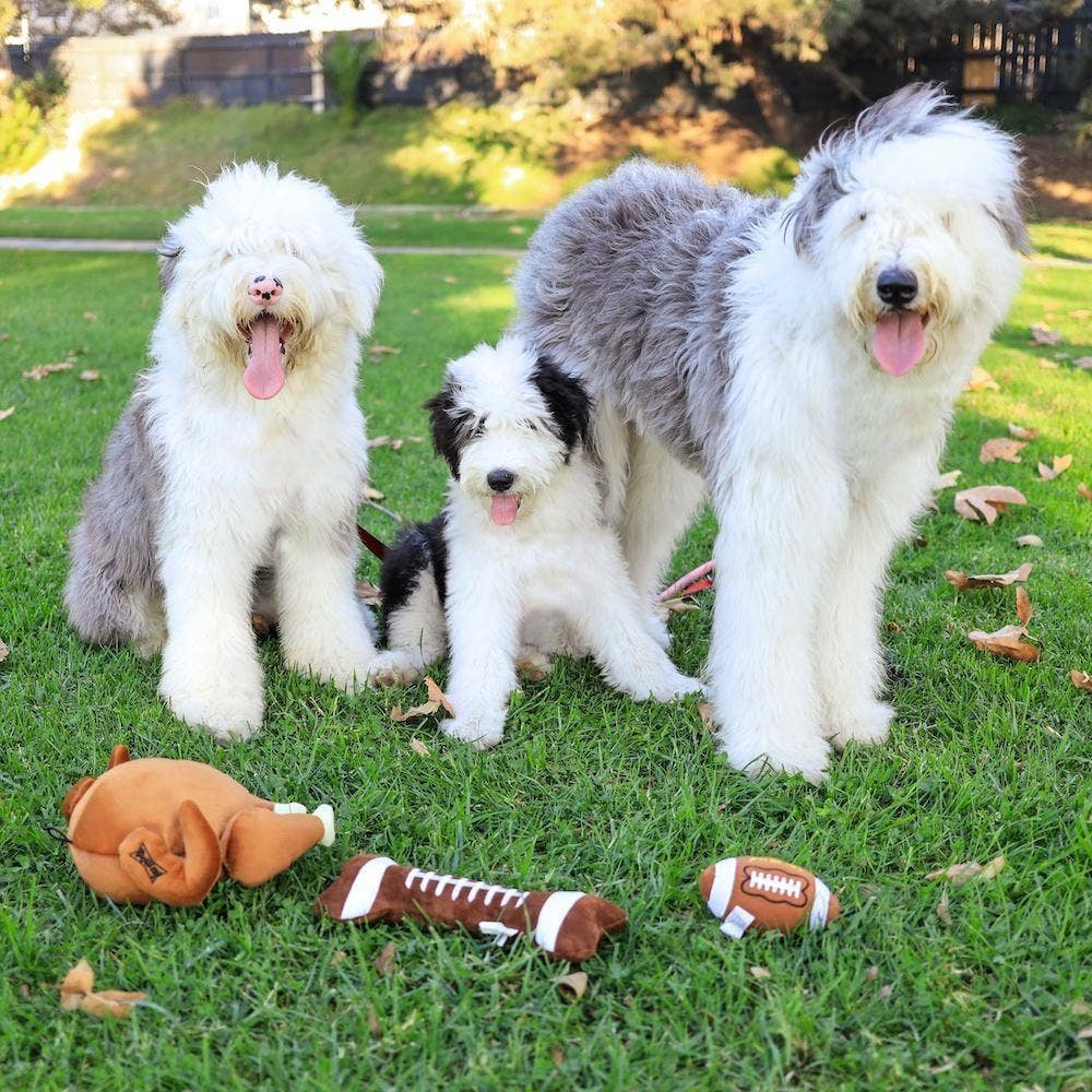 Plush Football Bone For Dogs