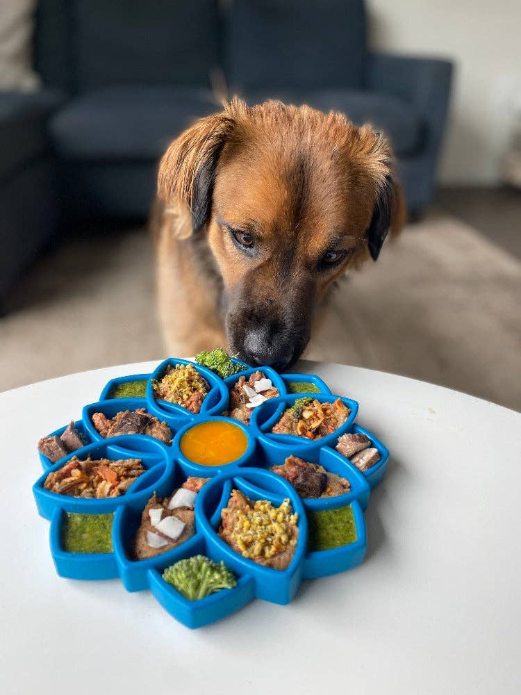 Mandala eTray Shallow Slow Feeder Dog Bowl