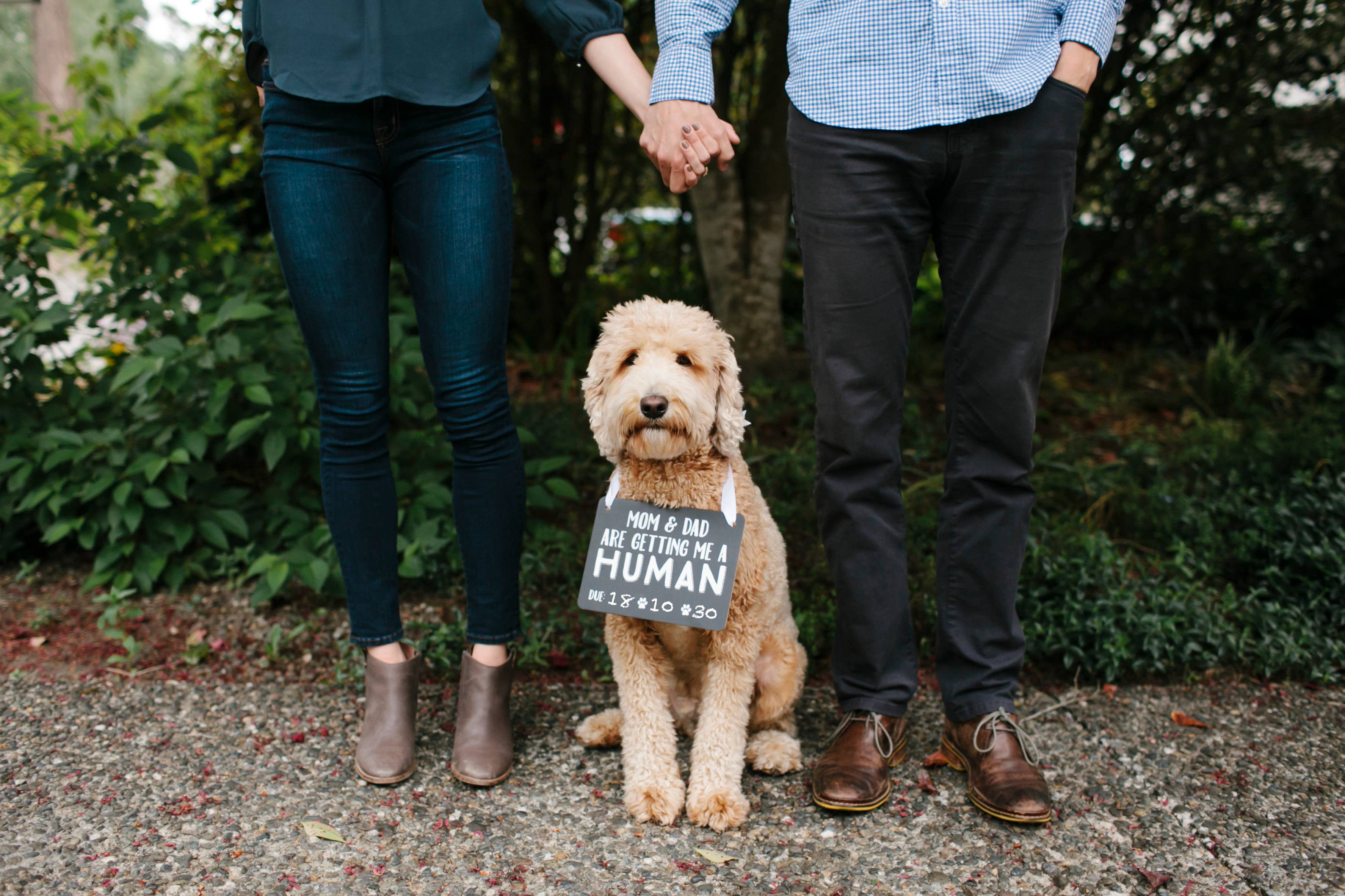 Pet's Baby Announcement Chalkboard