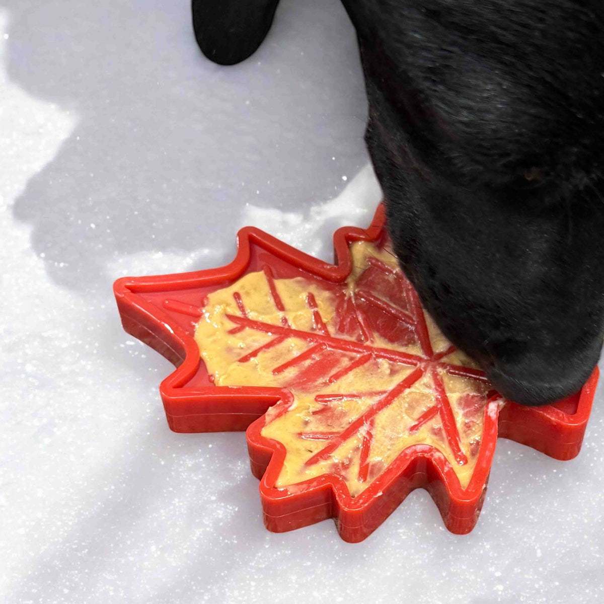 Maple Leaf Nylon Dog Chew Toy