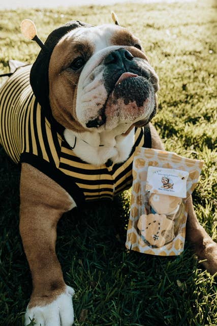Bee-licious Bites Dog Cookie Bag
