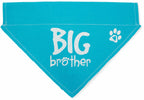 Big Brother Canvas Slip on Pet Bandana